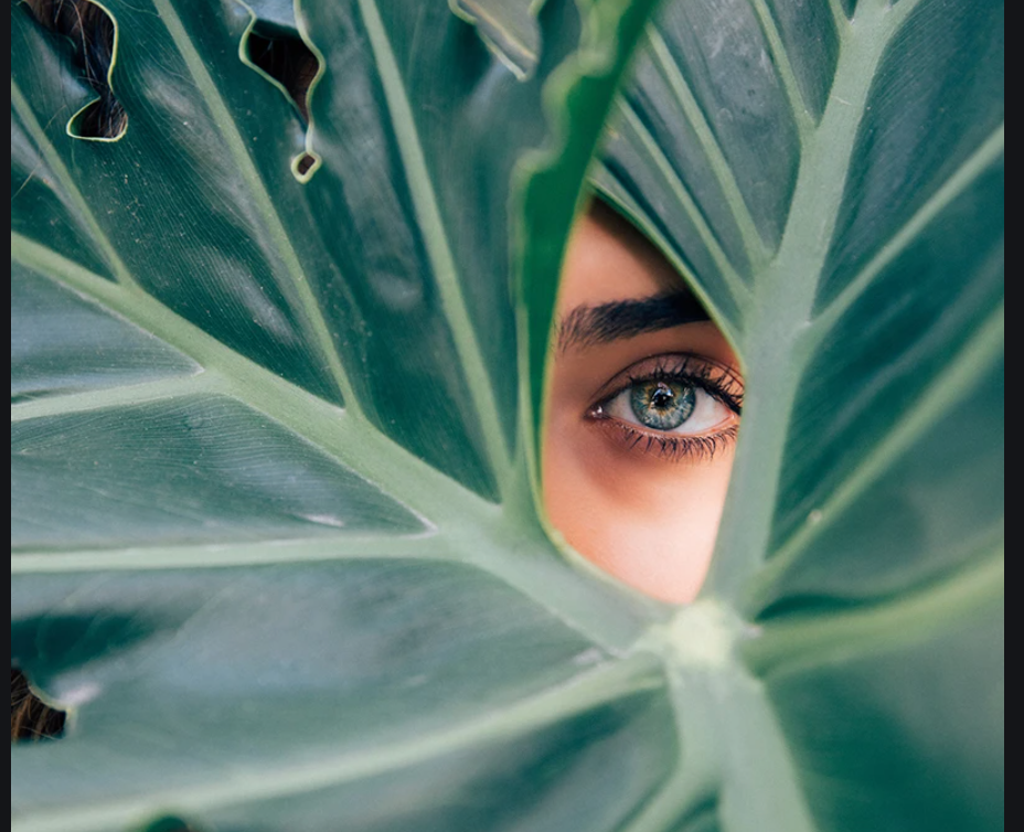Is clean beauty a revolution or a pointless indulgence?