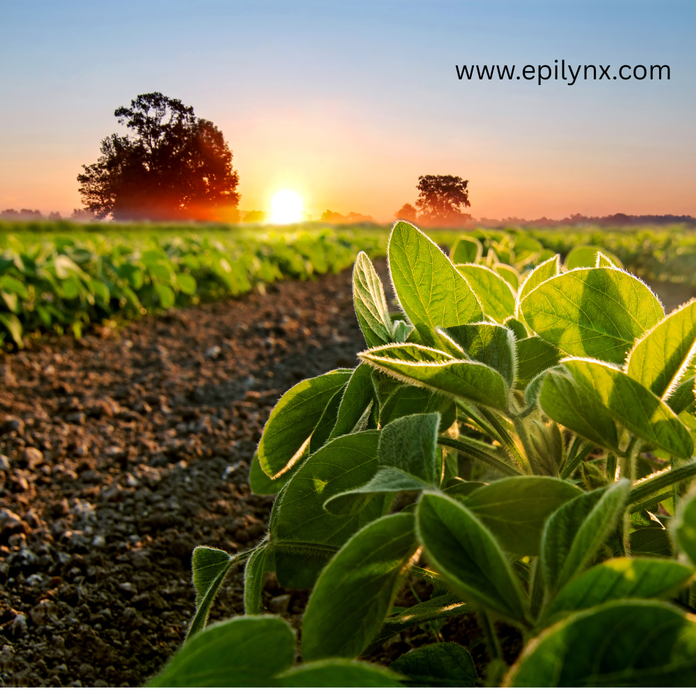 why soy free skincare is what you need