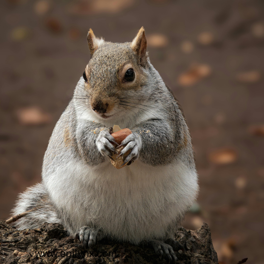 Hidden allergens in cosmetics and nut-free beauty secrets