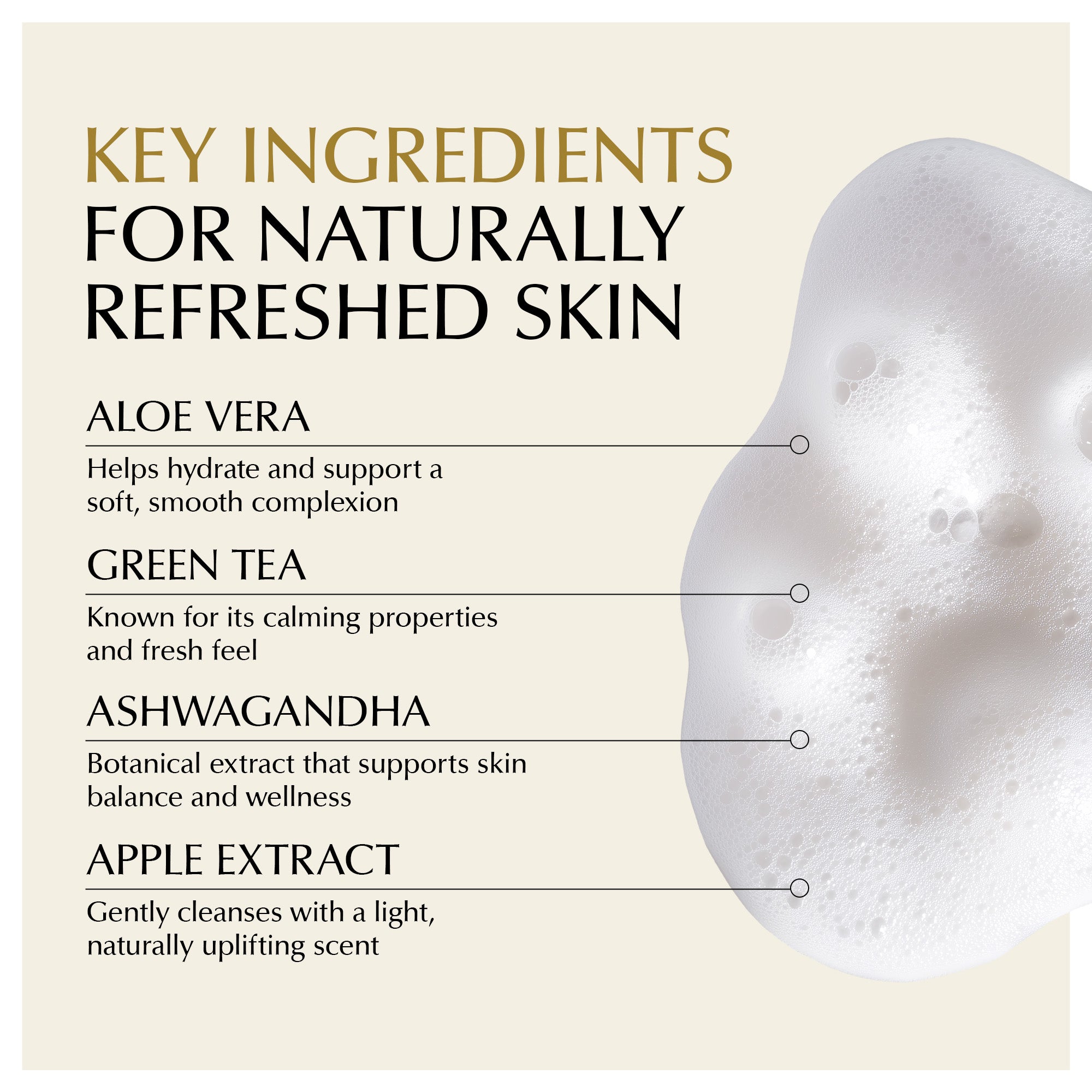 Gentle Foaming Facial Cleanser – Aloe, Apple & Ashwagandha for All Skin Types