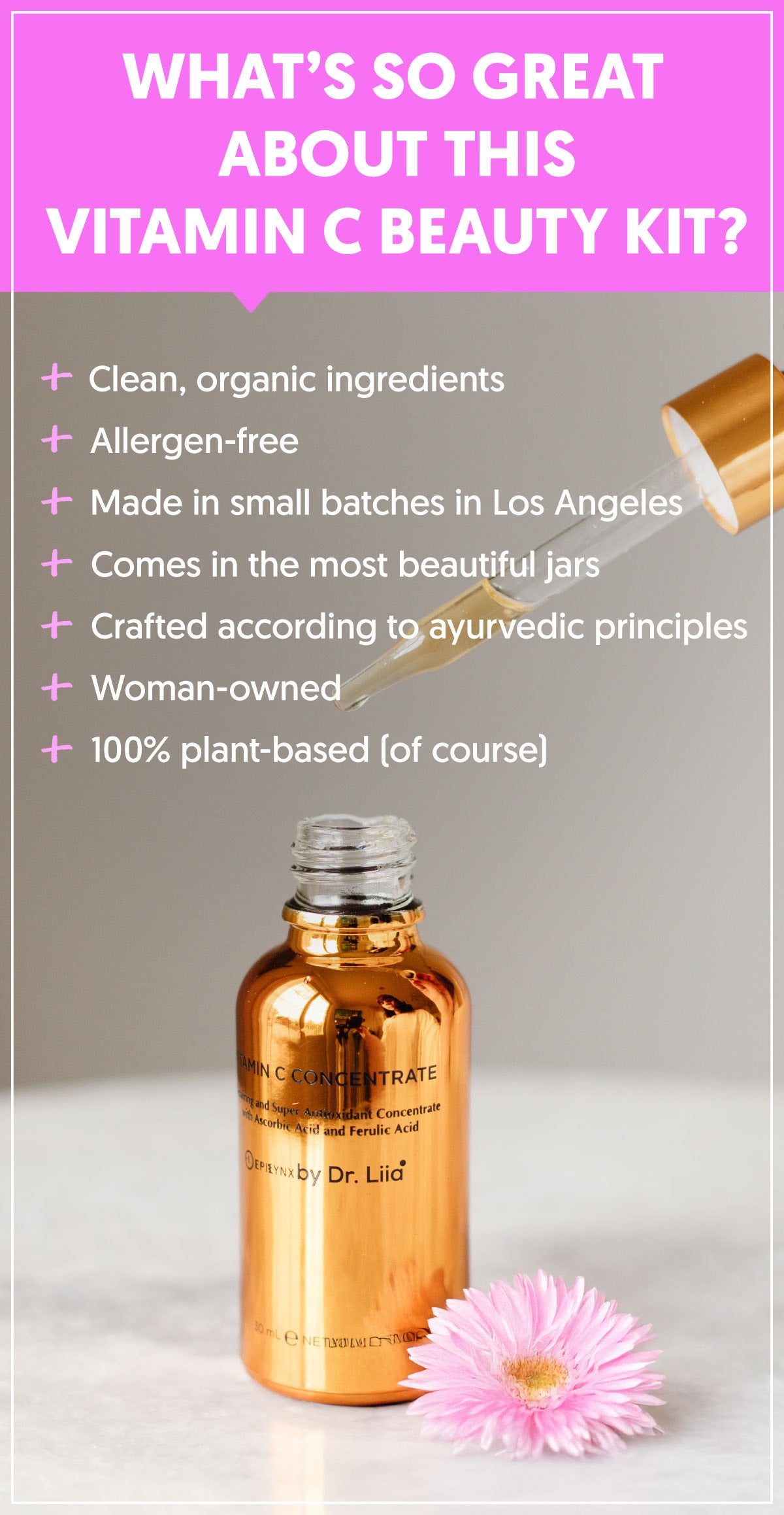 Luxe Vegan Vitamin C Skin Kit Just $29 + FREE Lip Gloss + FREE Shipping